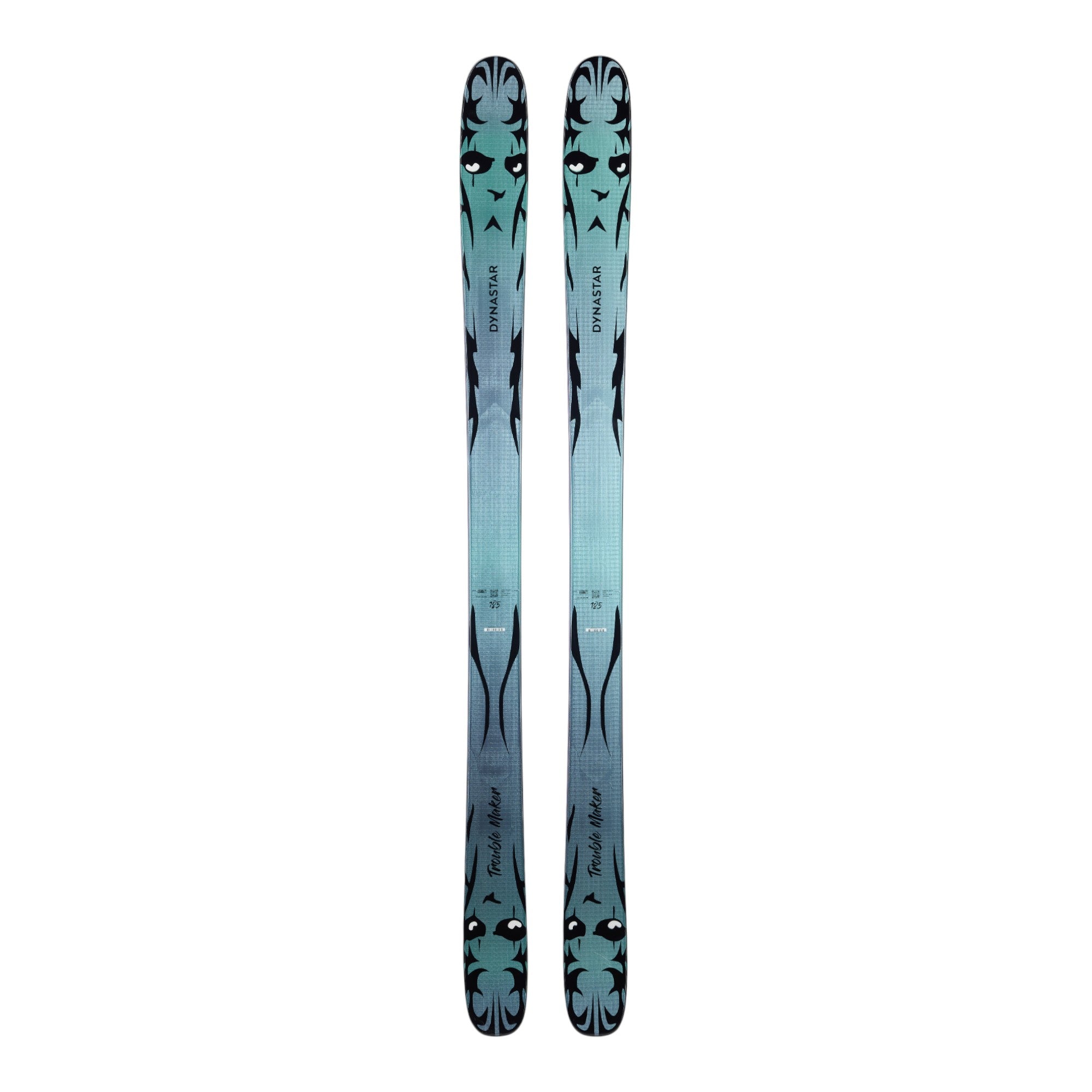 スキー dynastar trouble maker 168 media_663b7304-c59e-4759-9390-
